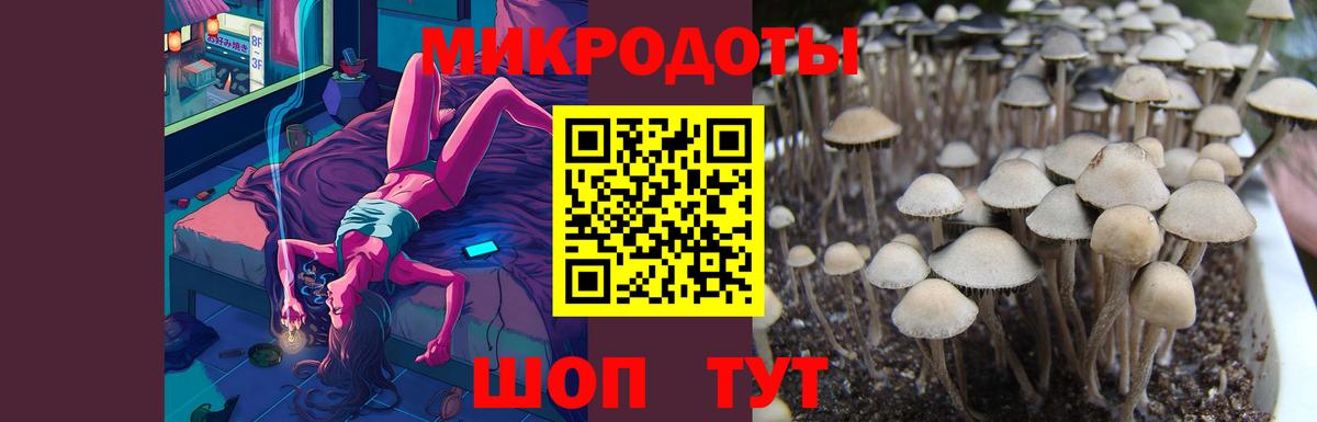Псилоцибиновые грибы Magic Shrooms  Вход с VPN  Верхняя Салда  Псилоцибиновые грибы GOLDEN TEACHER 